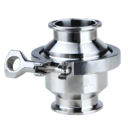 Check valve - clamp